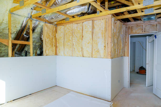 Best Insulation Removal  in Dauphin, PA