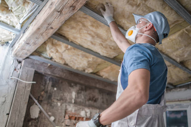 Best Attic Insulation Installation  in Dauphin, PA