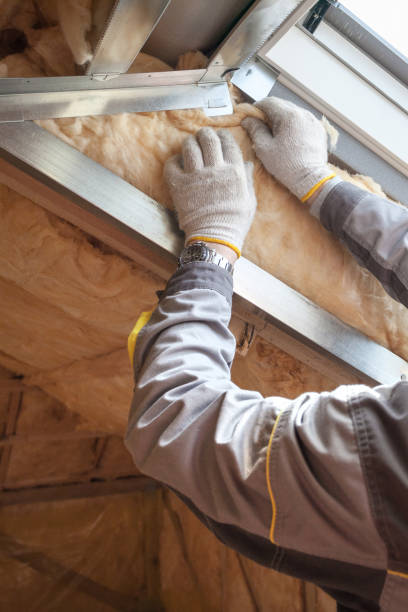 Best Local Insulation Services  in Dauphin, PA