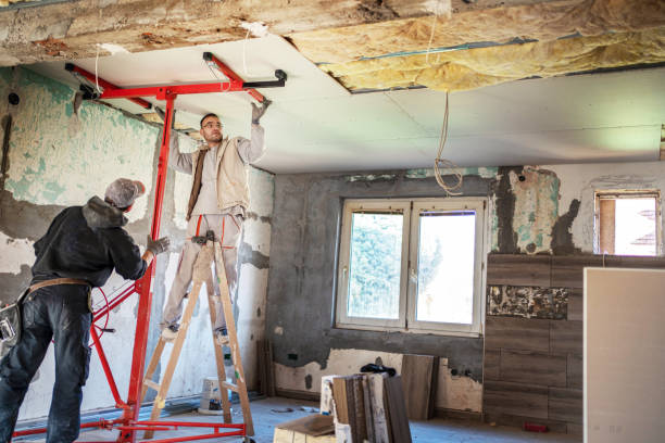 Best Insulation Removal Services  in Dauphin, PA