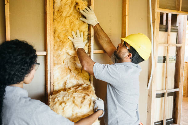 Best Blown-in Insulation  in Dauphin, PA