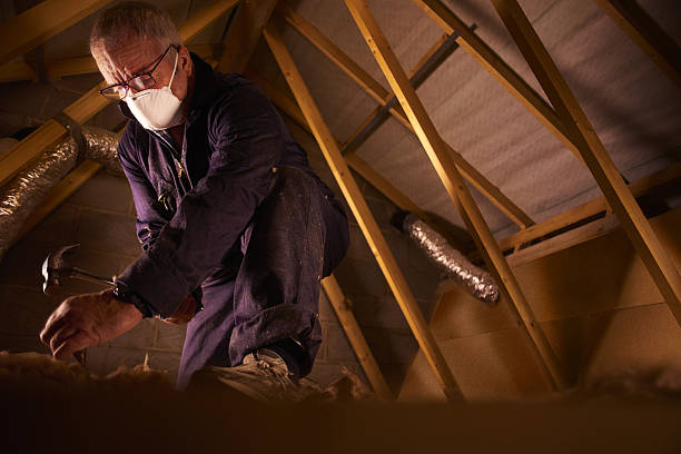 Best Crawl Space Insulation  in Dauphin, PA